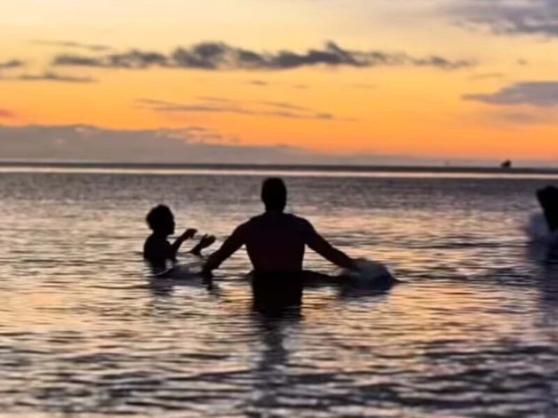 «J'ai eu peur»: un lion de mer interrompt une baignade glaciale